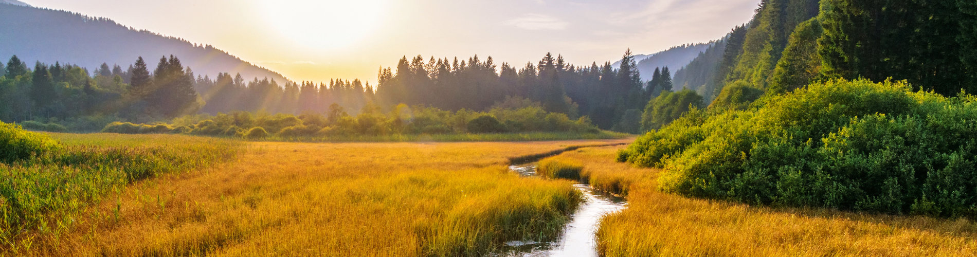 480x266 - myMondi.net website banners (2).png