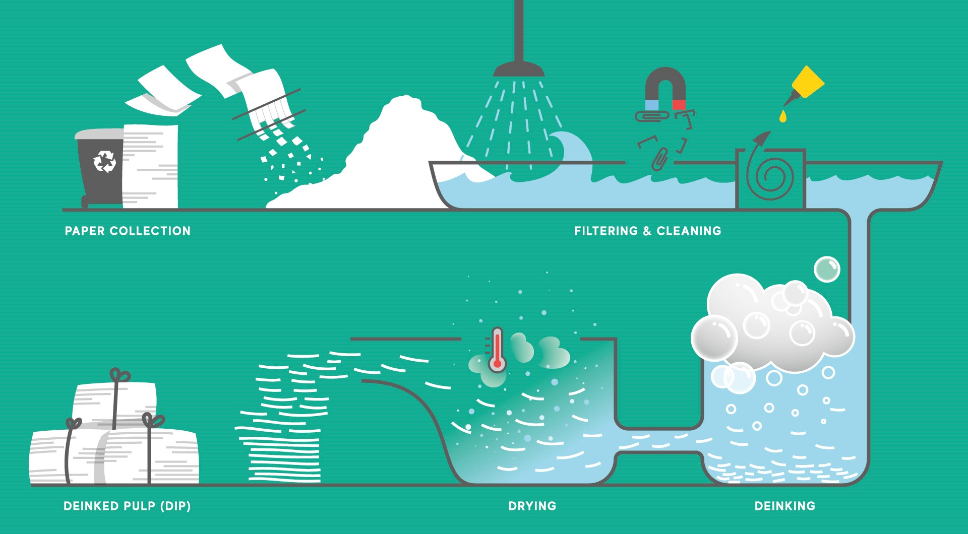 An illustration showing the cycle of paper deinking, from collection, to filtering and cleaning, to deinking, then drying and finally the deinked pulp (DIP) that is used to create new paper.
